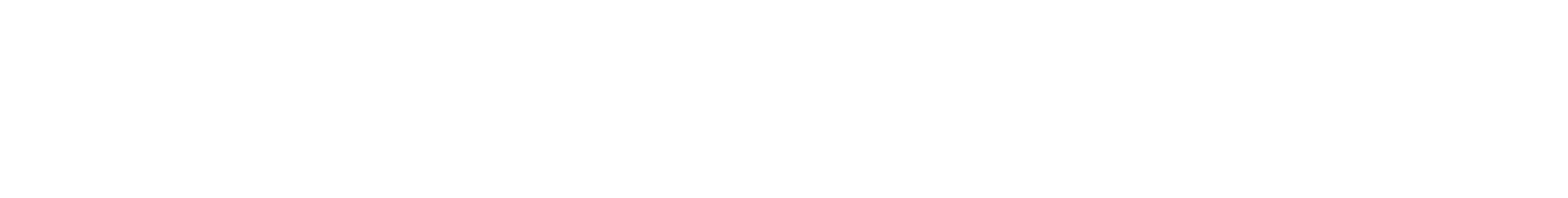 The Wayfair Store Horizontal White Logo